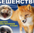 Внимание, бешенство! - Куюргазинский район