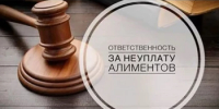 В Куюргазинском районе мужчина осужден к исправительным работам за неуплату алиментов - Куюргазинский район