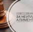 В Куюргазинском районе женщина осуждена за неуплату алиментов - Куюргазинский район